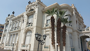 Ain Shams University