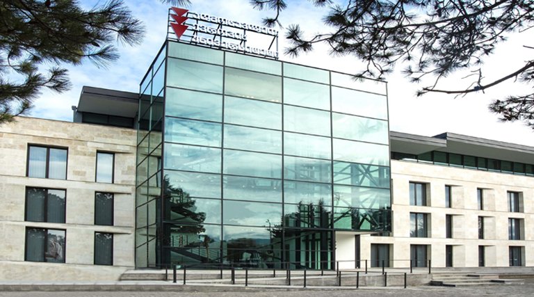 East European University