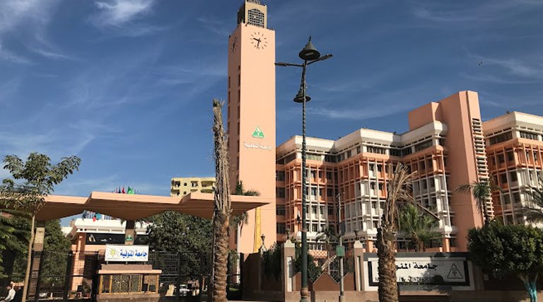 Menaufia University Faculty of Medicine