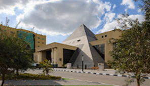 Nahda University